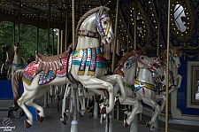 Village Carousel