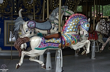 Village Carousel