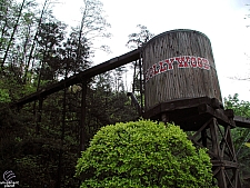 Dollywood Express