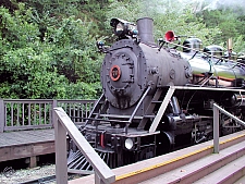 Dollywood Express