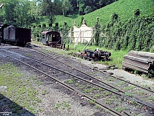 Dollywood Express