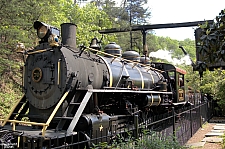 Dollywood Express