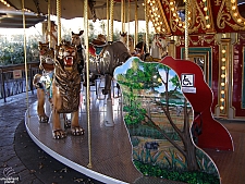 Endangered Species Carousel