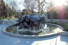 Dallas Zoo