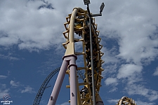 Boomerang