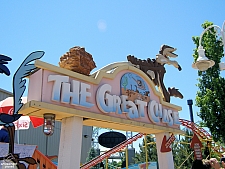Cactus Coaster