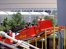Cactus Coaster