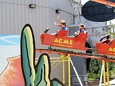 Cactus Coaster