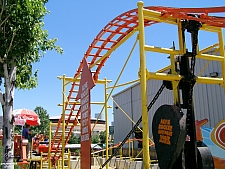 Cactus Coaster