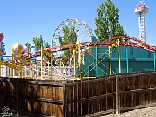 Cactus Coaster