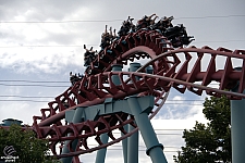 Mind Eraser
