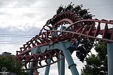 Mind Eraser