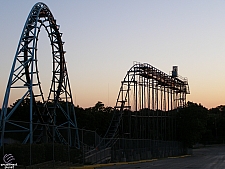 Diamondback