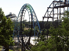 Diamondback