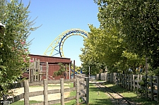 Diamondback