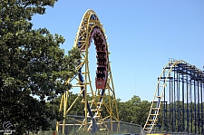 Diamondback