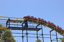 Diamondback