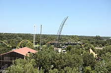 Diamondback