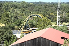 Diamondback