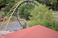 Diamondback