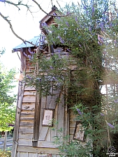 Frontier City
