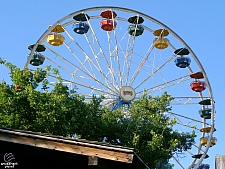 Rides