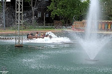 Mystery River Log Flume