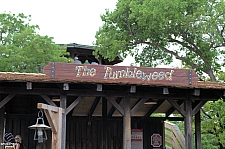 Tumbleweed