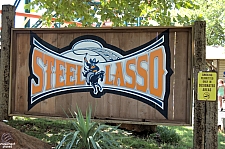 Steel Lasso