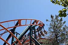 Steel Lasso