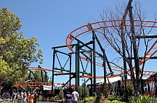 Steel Lasso