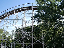 Wildcat