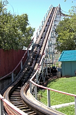 Wildcat
