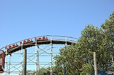 Wildcat