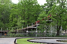 Wildcat