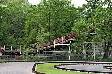Wildcat