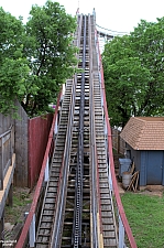 Wildcat
