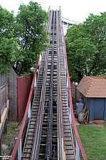 Wildcat