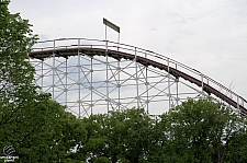 Wildcat