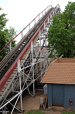 Wildcat