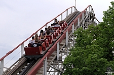 Wildcat