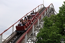 Wildcat