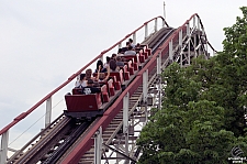 Wildcat
