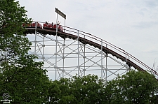 Wildcat