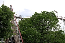 Wildcat