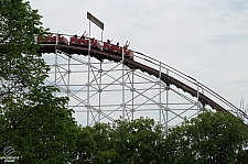 Wildcat