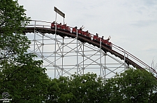 Wildcat