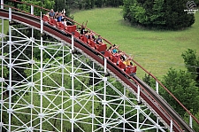 Wildcat
