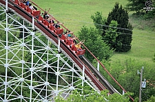 Wildcat