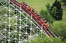 Wildcat